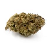 Fleurs de CBD Orange Bud NATURE & CBD