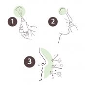 Spray Protect Nasal Aromaforce PRANARÔM