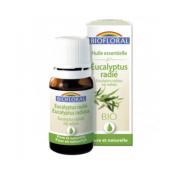 Huile essentielle d'Eucalyptus Radié Bio BIOFLORAL