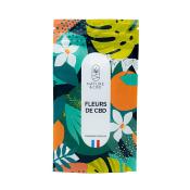 Fleurs de CBD Orange Bud NATURE & CBD