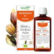 Sportisve Bio - Muscles - Sve de Bouleau Frache - HERBALGEM