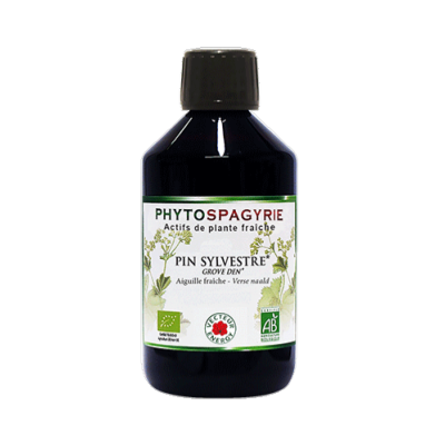 Pin Sylvestre Bio - VECTEUR ENERGY - Phytospagyrie