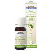 Perles d'Huile Essentielle Bio Eucalyptus Radi (Eucalyptus Radiata) BIOFLORAL