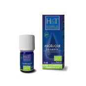 Huile Essentielle d'Angélique Bio HERBES & TRADITIONS