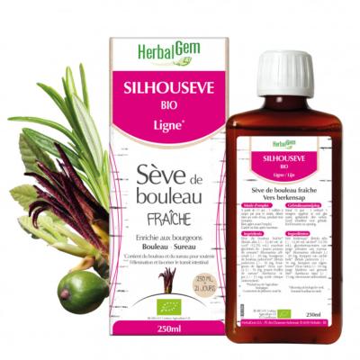 Silhousève Bio - Ligne - Sève de Bouleau Fraîche - HERBALGEM