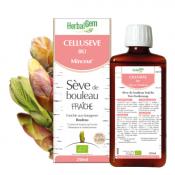 Cellusève Bio - Minceur - Sève de Bouleau Fraîche - HERBALGEM